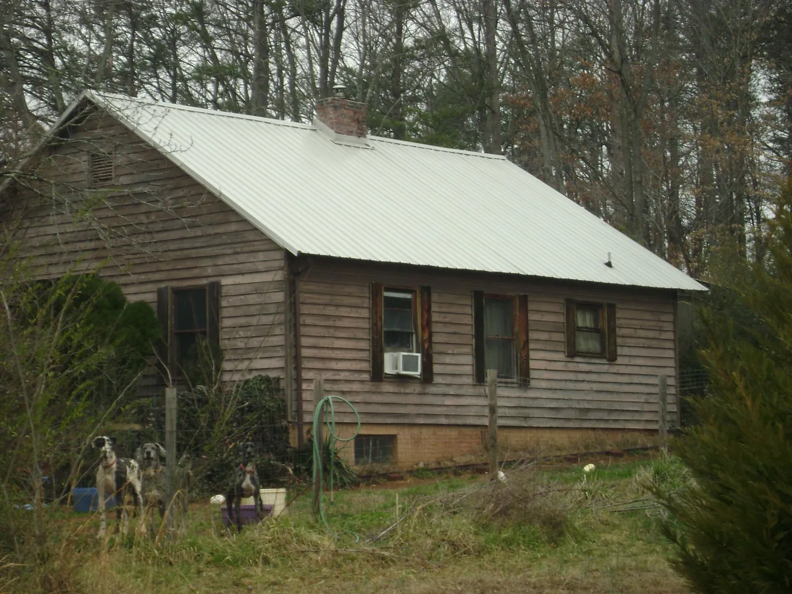 White metal roof on an old wood sided farmhouse, from a Asphalt Shingle Roof Repair job in Arnoldsburg